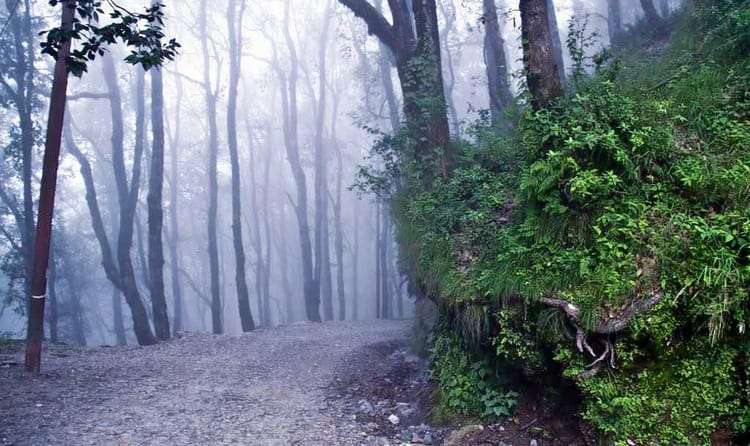 Pangot - 325 km from Delhi