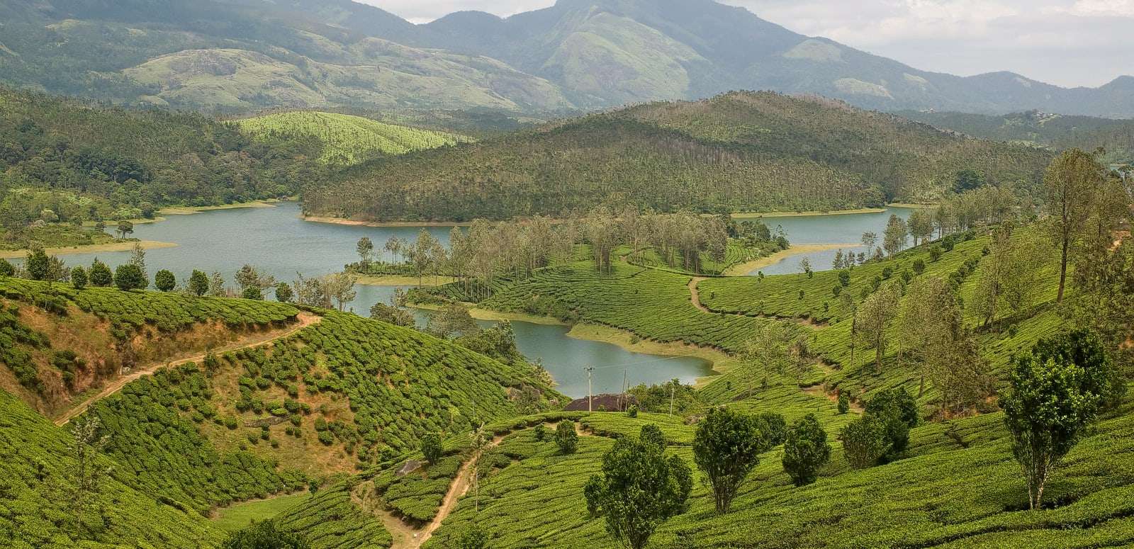 Yelagiri Hills (230 km from Chennai)