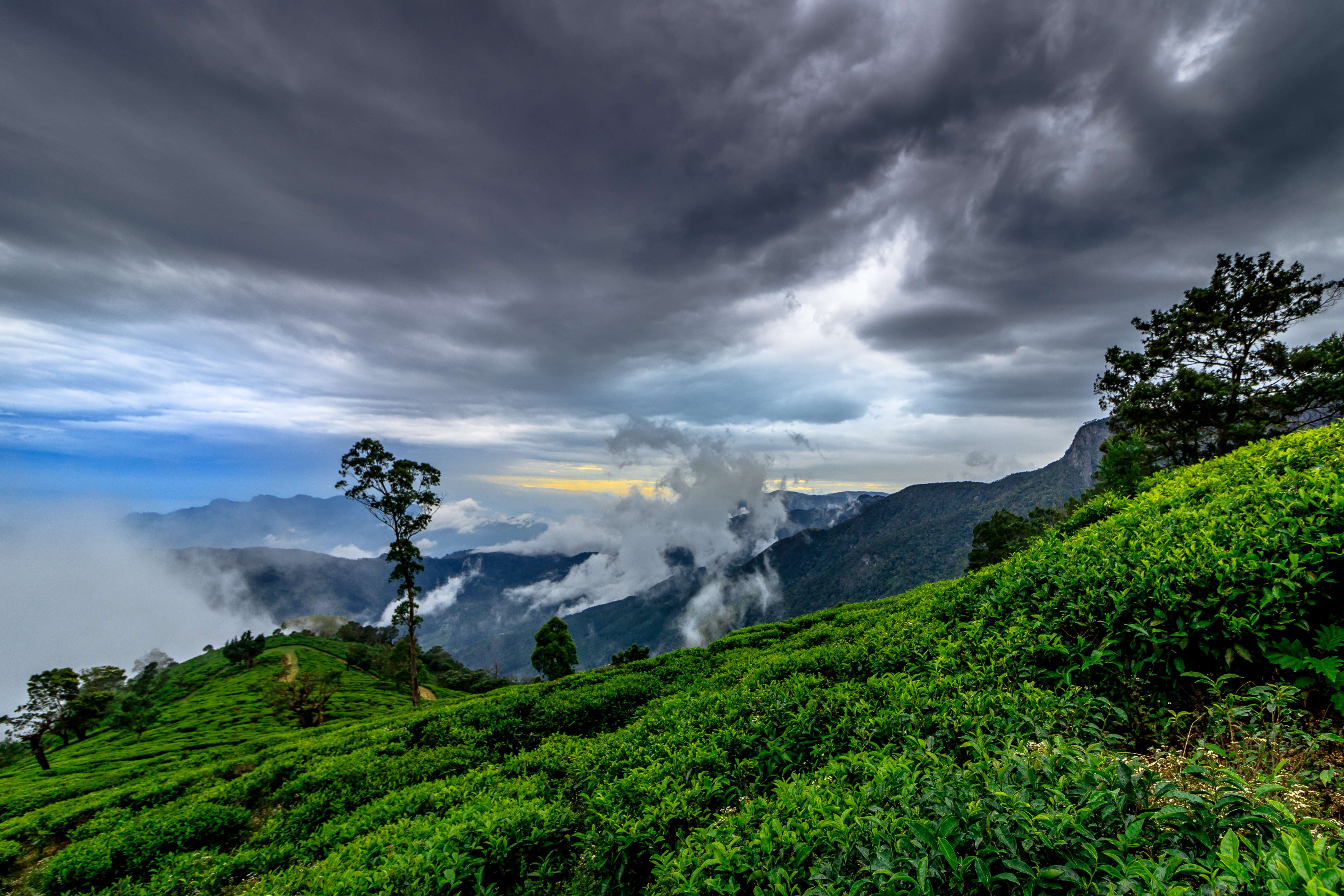 Belihuloya Camping Experience, Book Now @ Flat 17% off