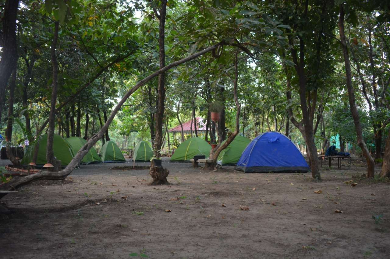 Camping with Activities in Morena, Gwalior Flat 50% off