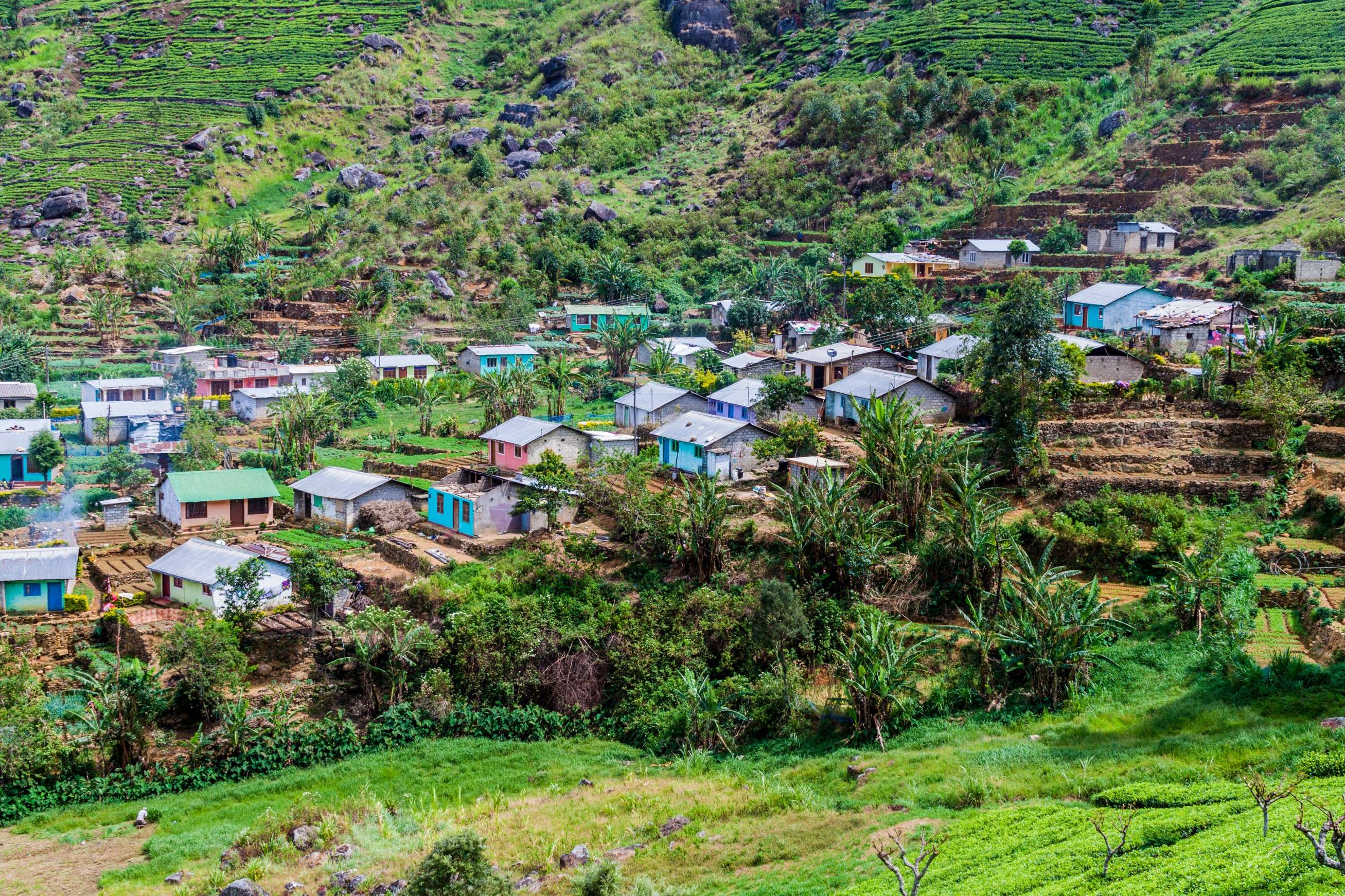 Ella Hike | Village Trekking Experience | Flat 16% off