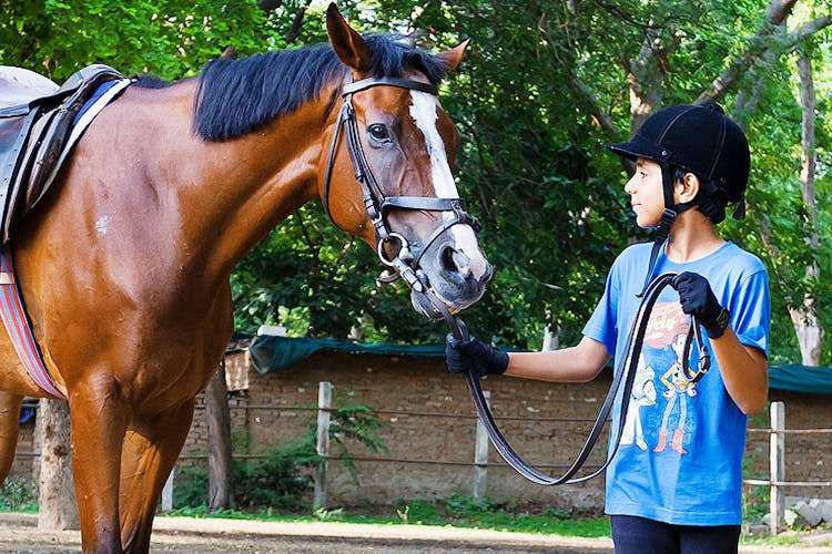 The Children's Riding Club