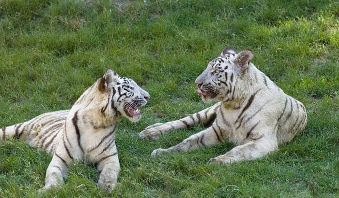 National Zoological Park