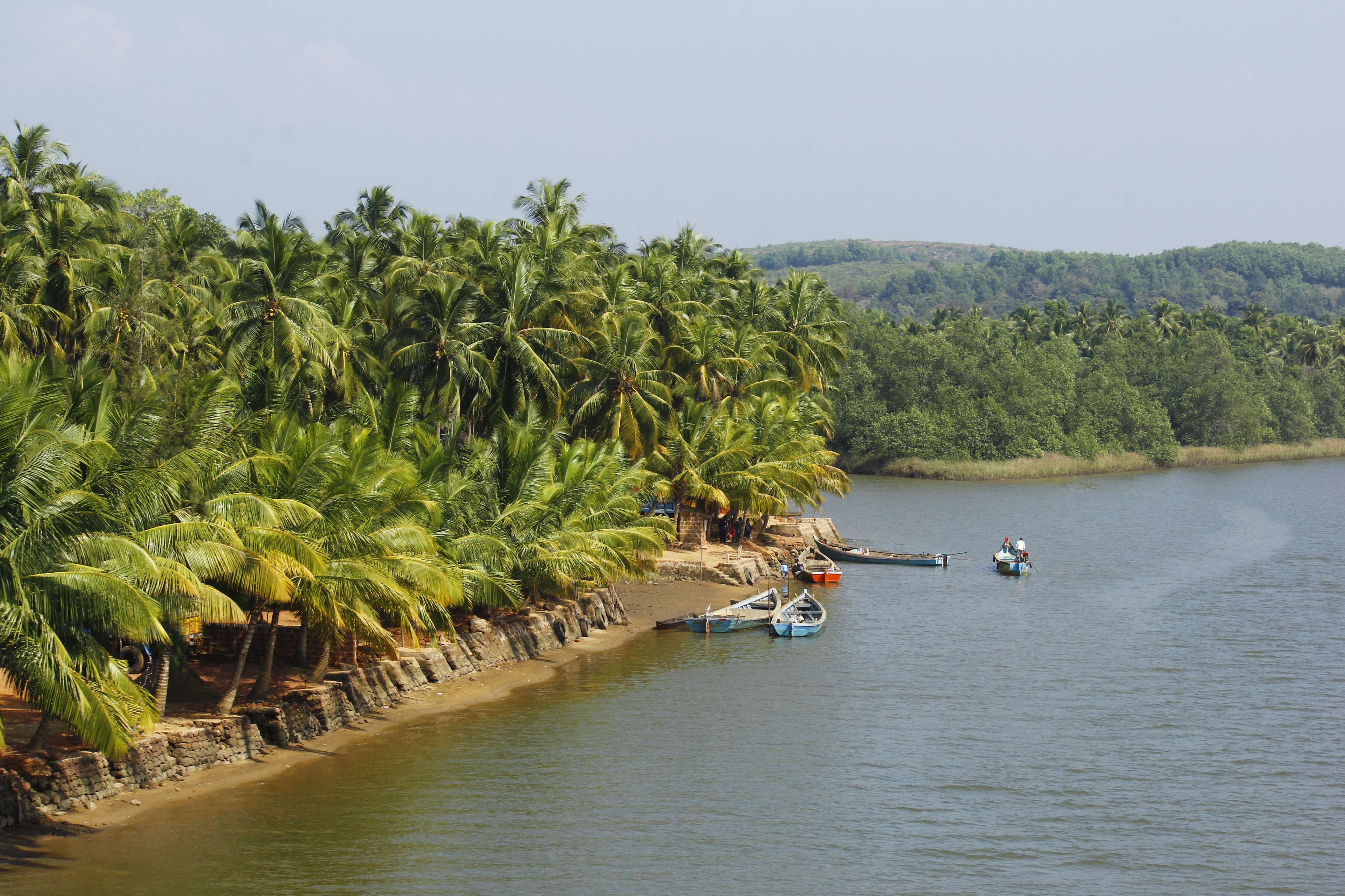 1573729054 shutterstock 1469088200