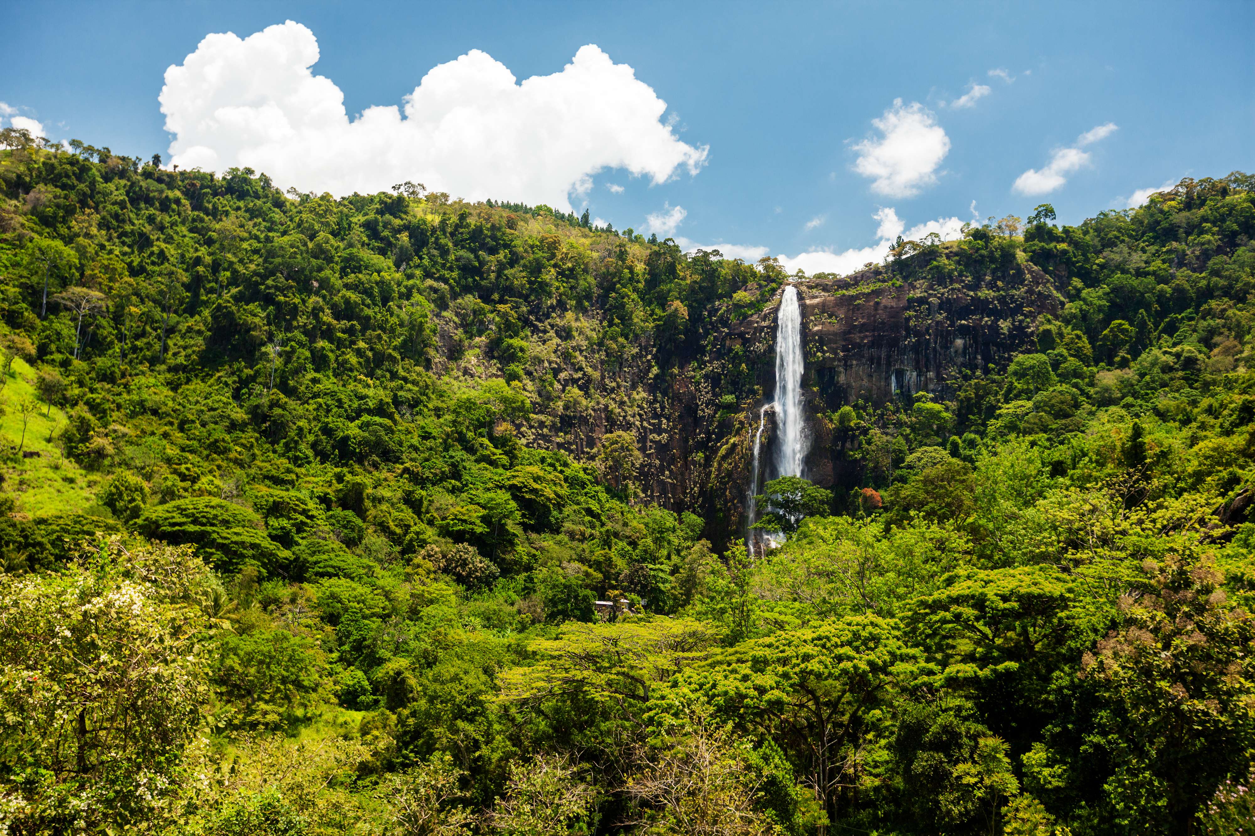 Bambarakanda Waterfall and Ohiya Trek | Flat 16% off