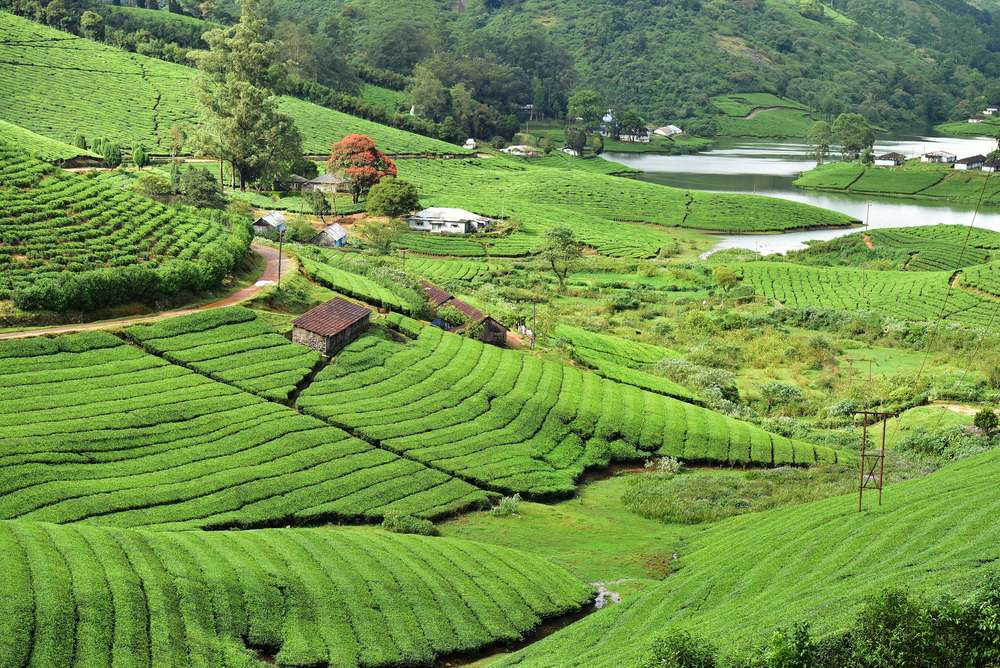 1600667826 shutterstock 352766393