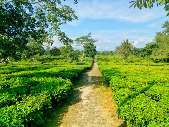 1573829219 shutterstock 1251745369