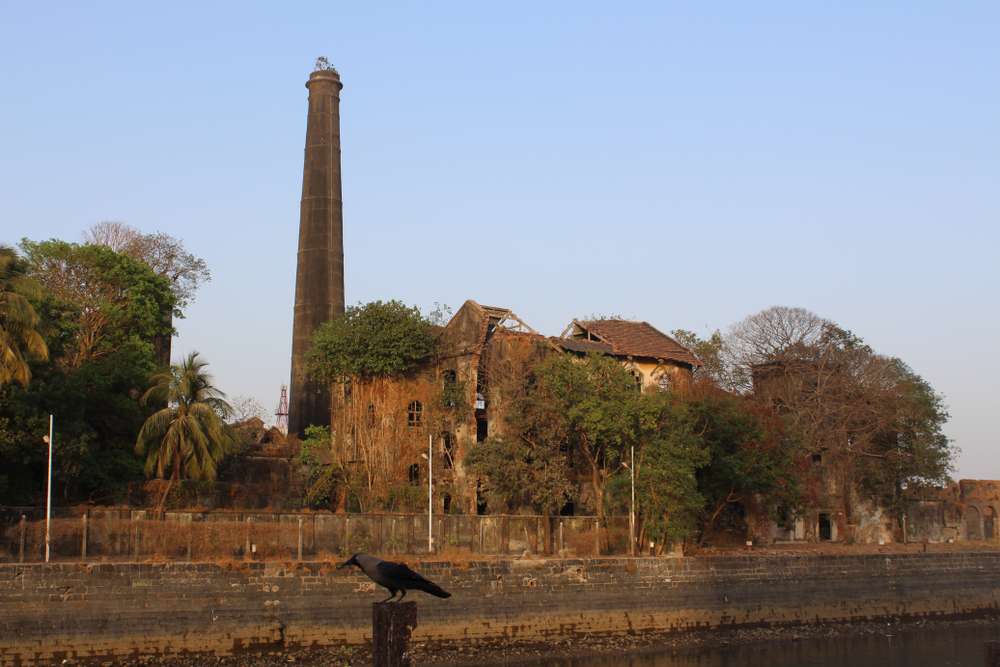 Mukesh Mill