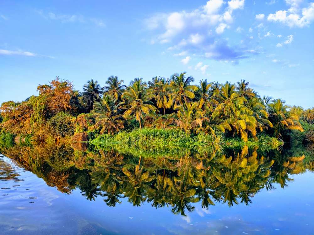 1597145381 shutterstock 1691879317