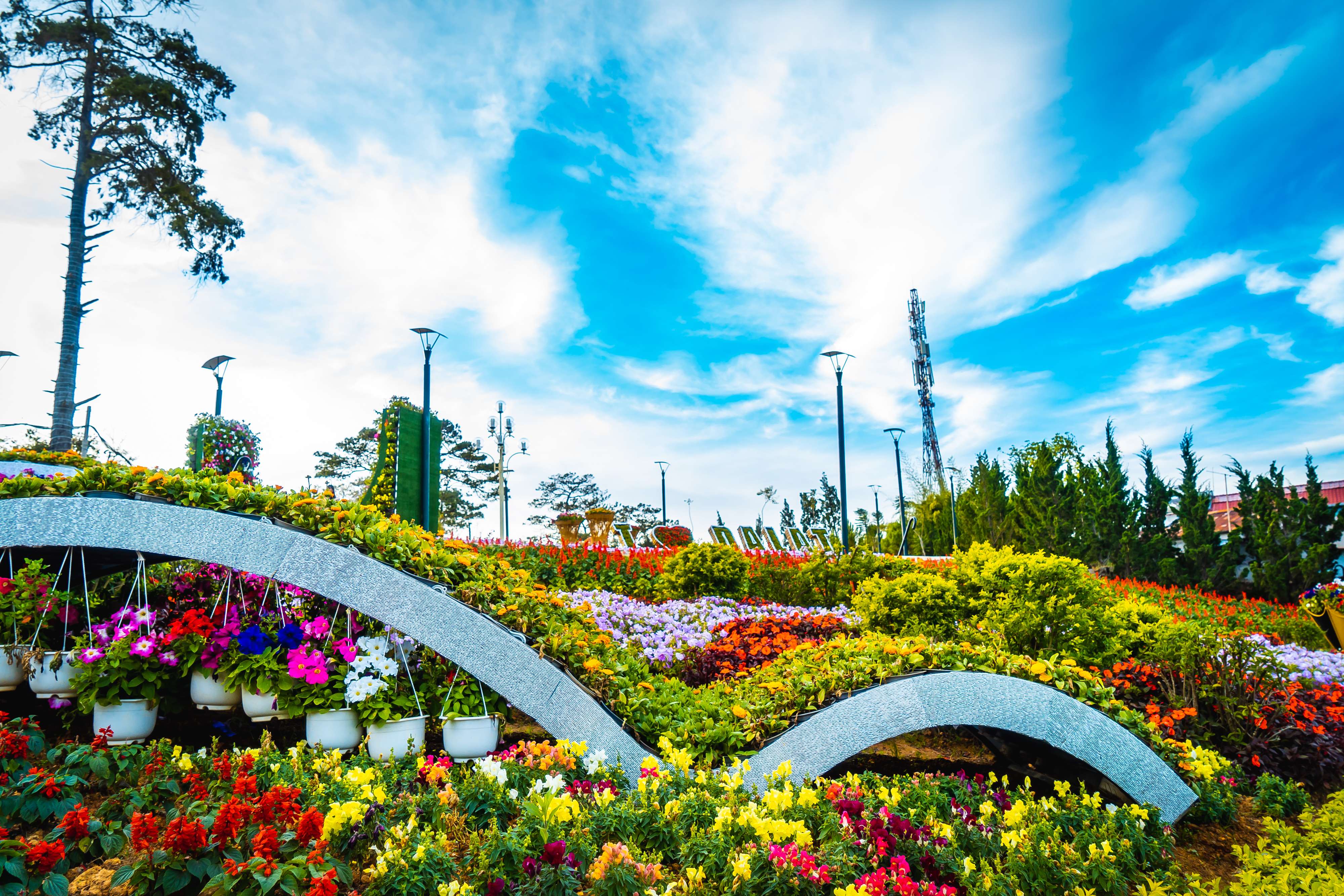 1574140086 shutterstock 1343754386