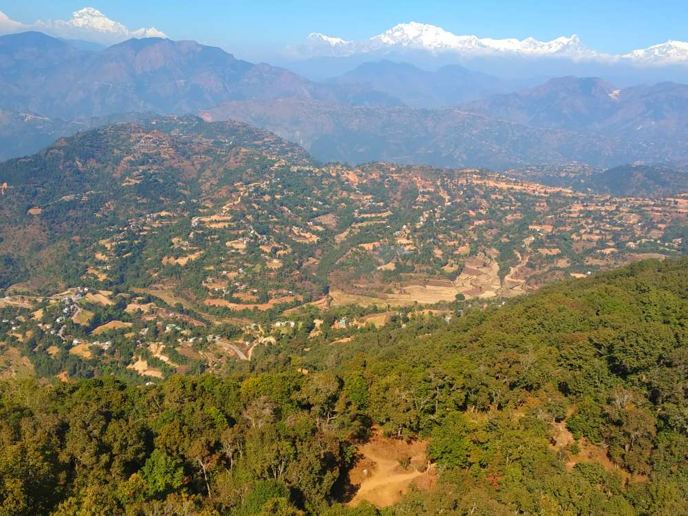 1574171995 shutterstock 1414434716