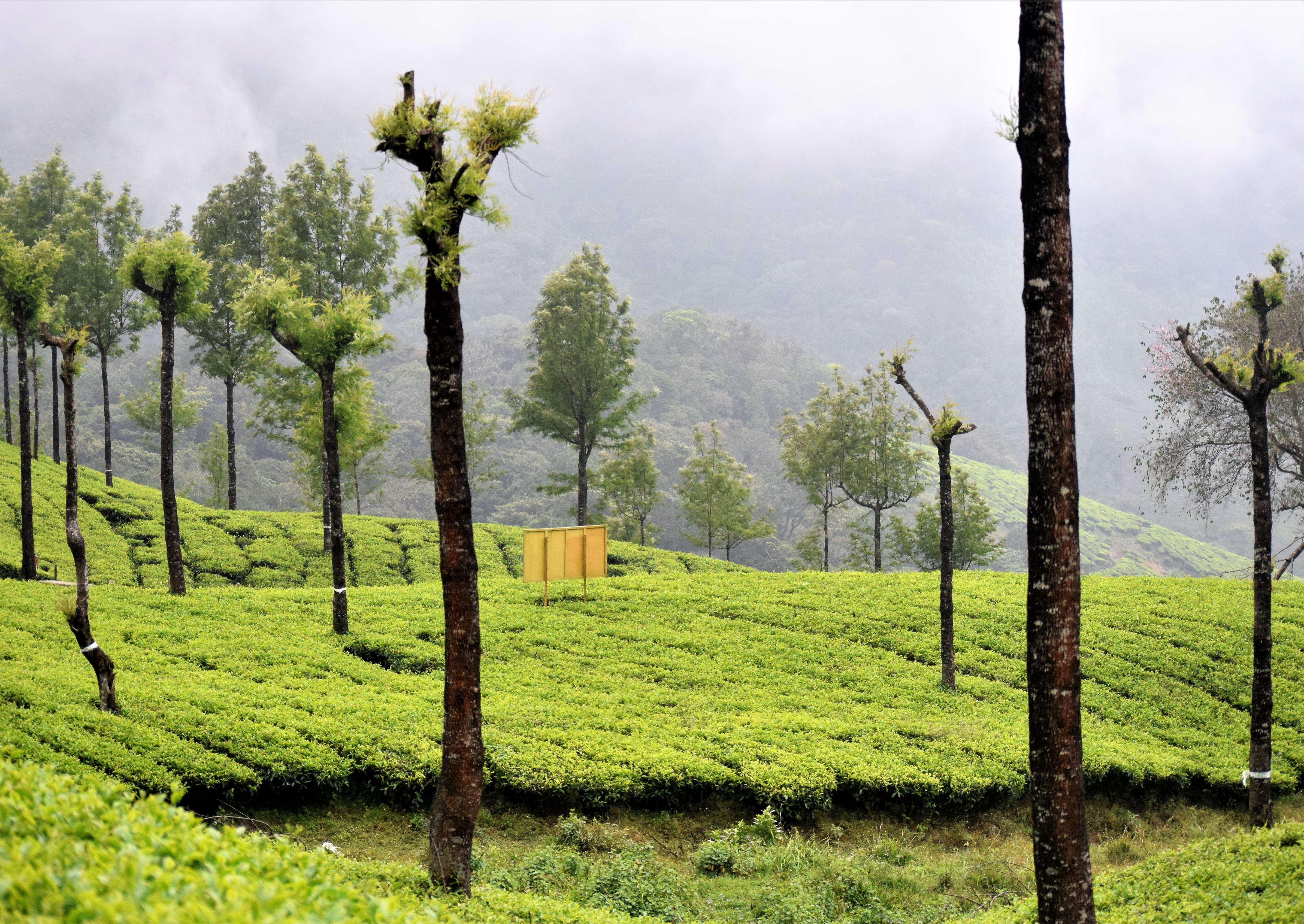 1574230551 shutterstock 1269497854