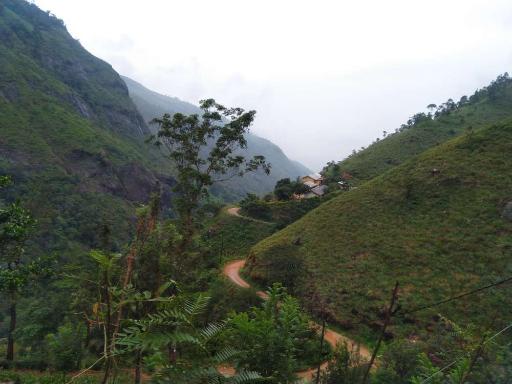 1574233615 shutterstock 1486390601