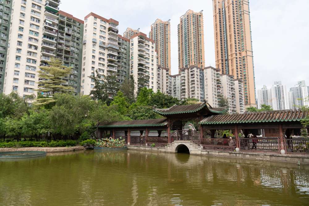 1574234377 shutterstock 1482389867