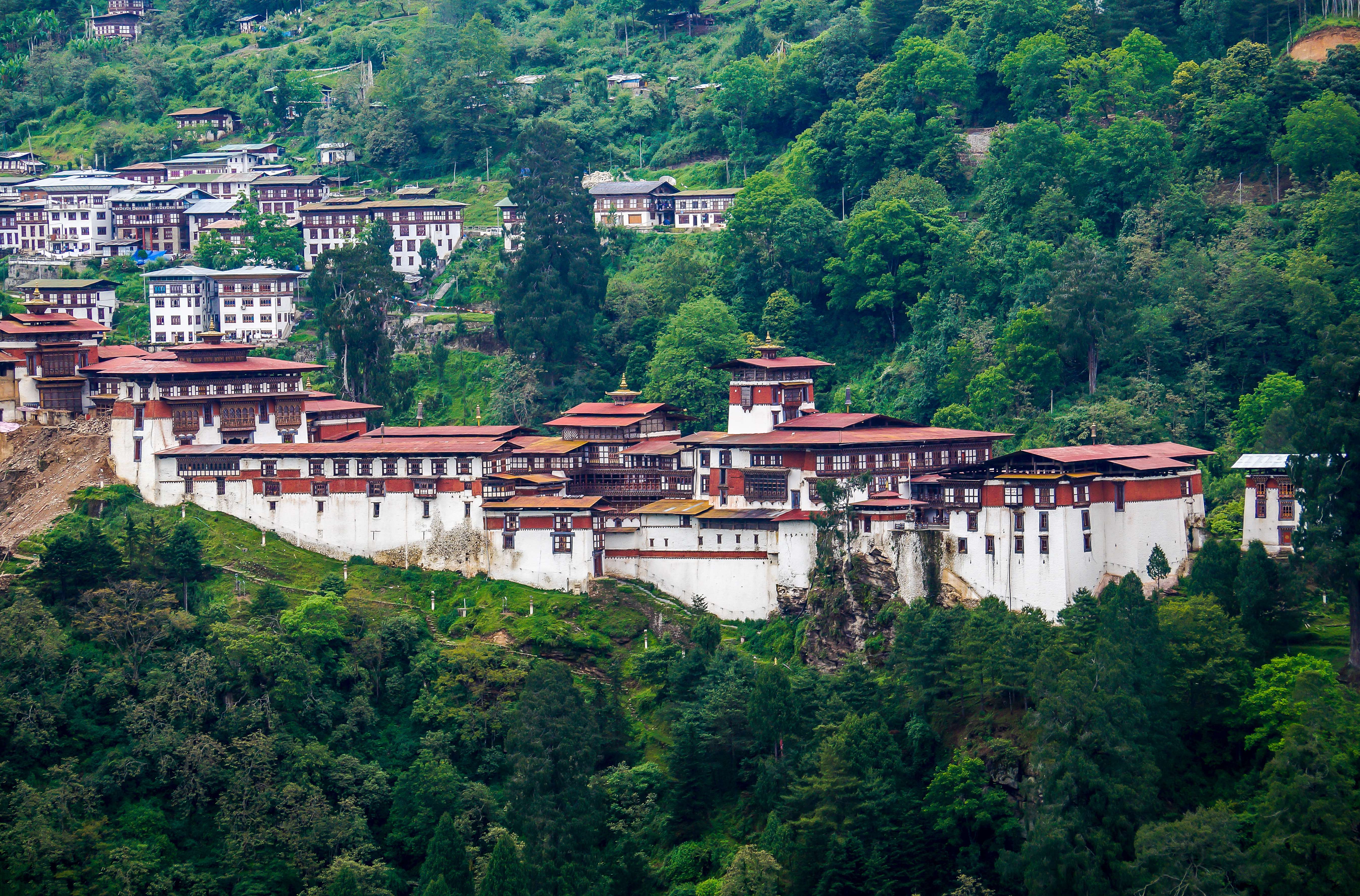 1574237528 shutterstock 1395756158