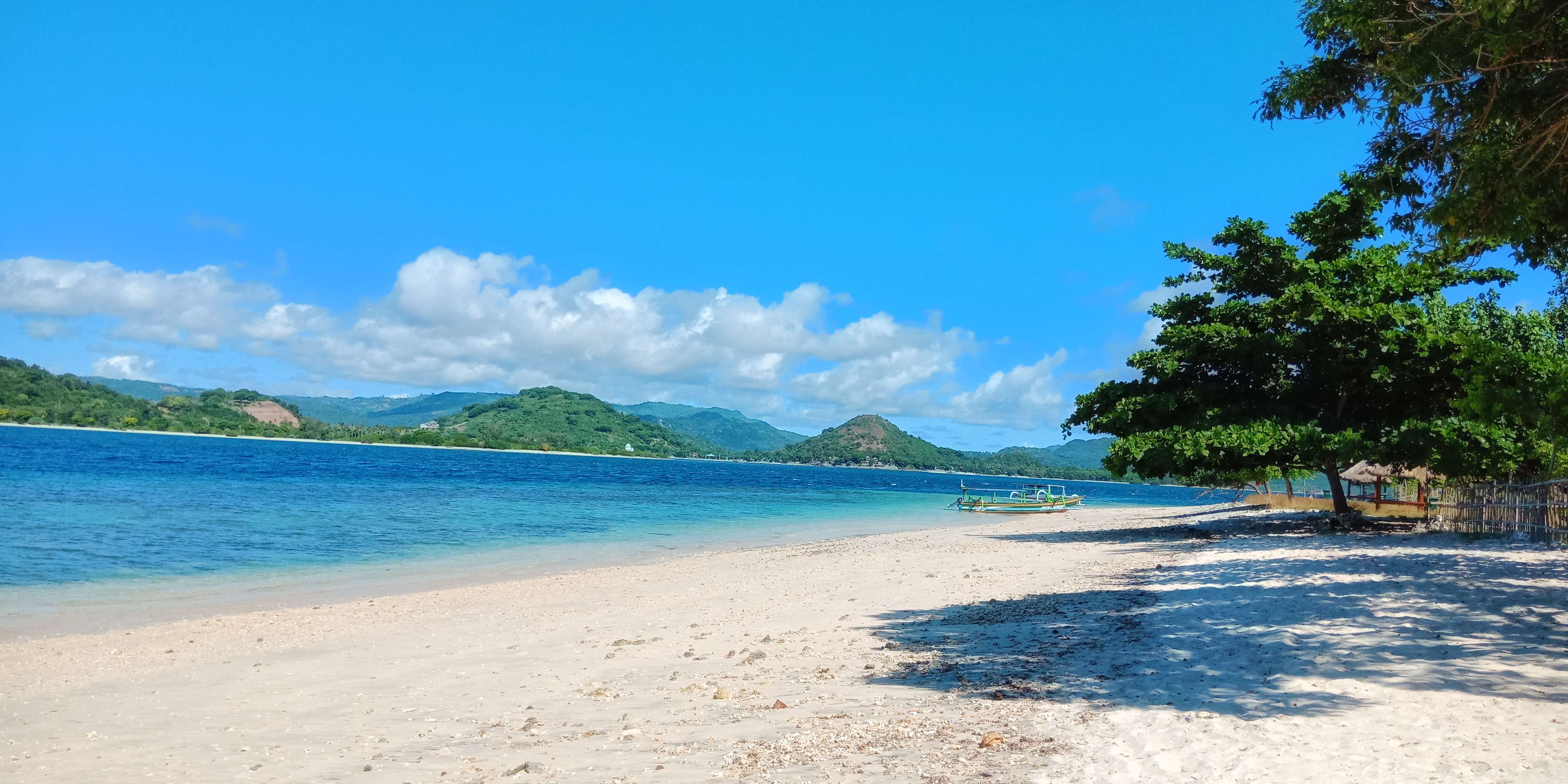 1574237290 shutterstock 1403476826