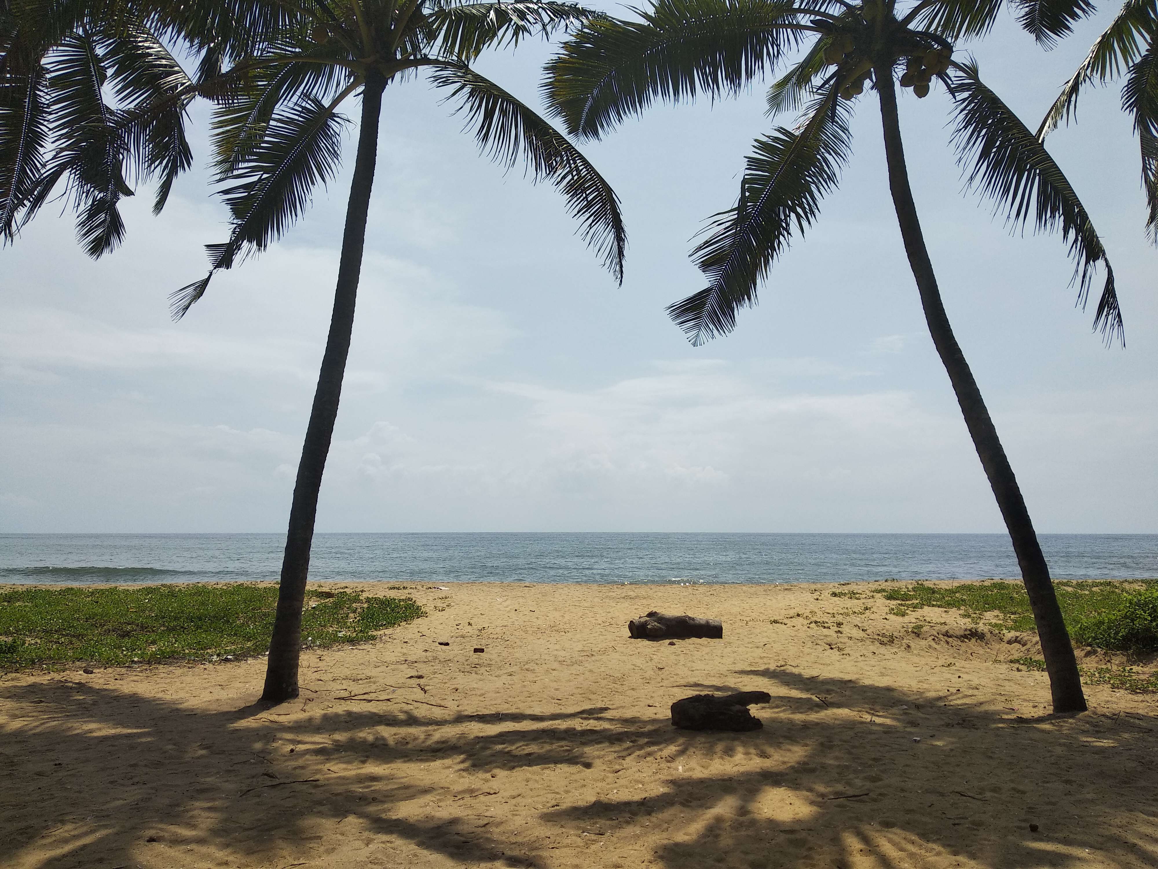 1574320587 shutterstock 1322507873