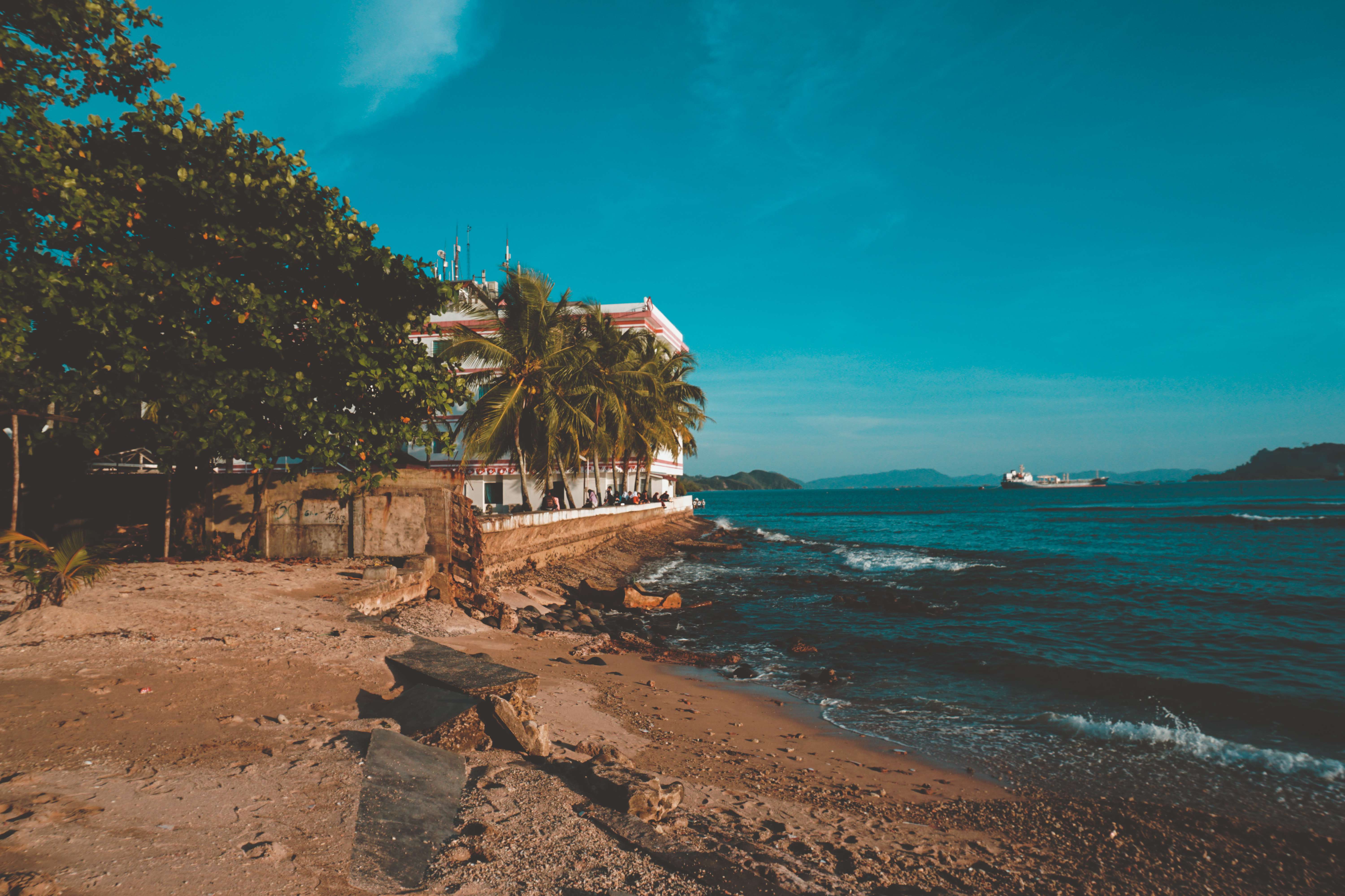 1574401984 shutterstock 1177274011