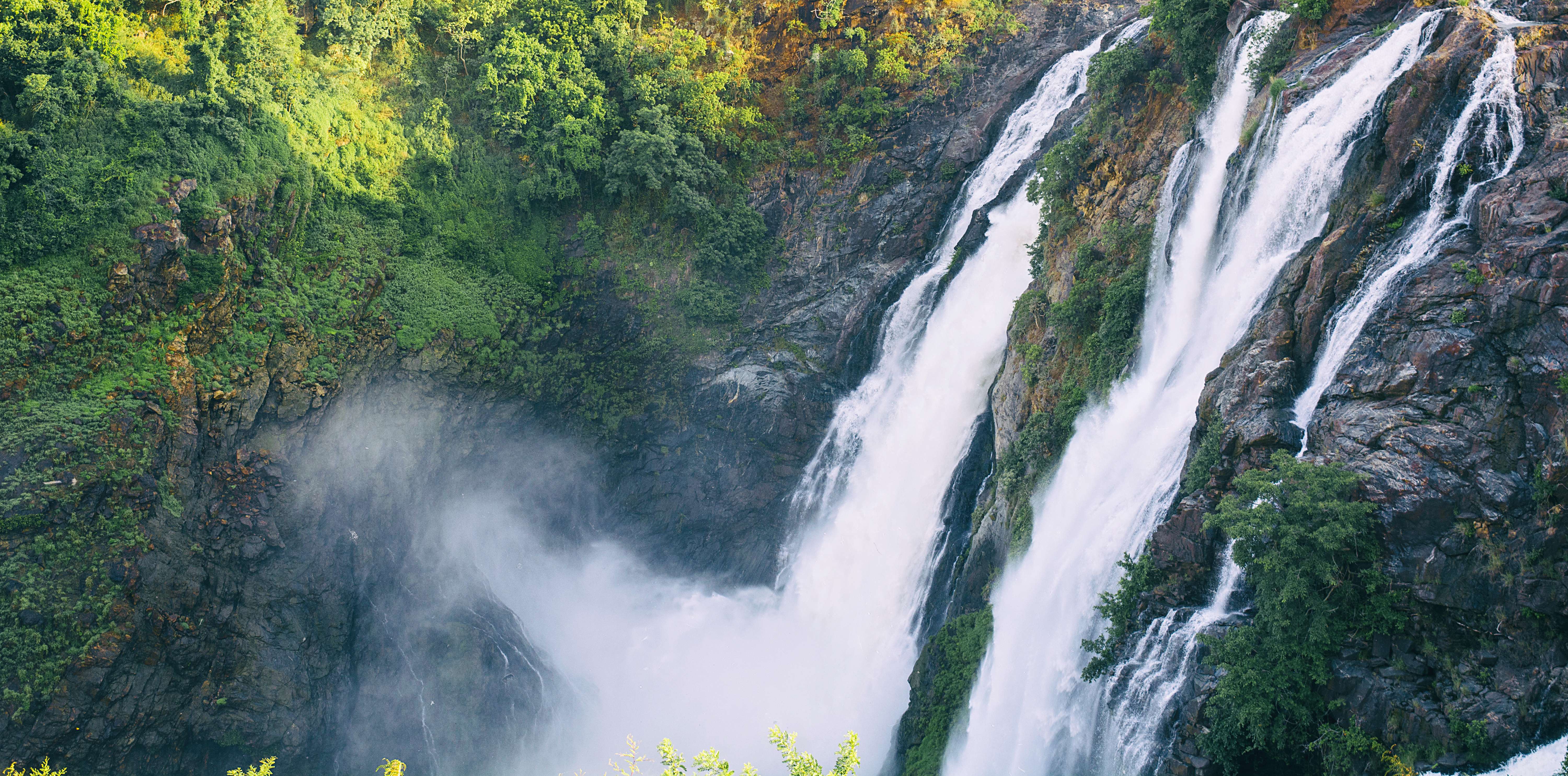 1600245448 shutterstock 580009810