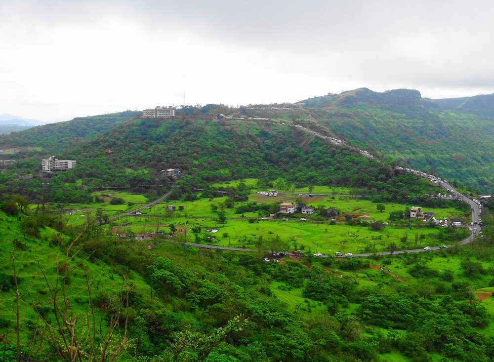 1584347608 shutterstock 1501169519