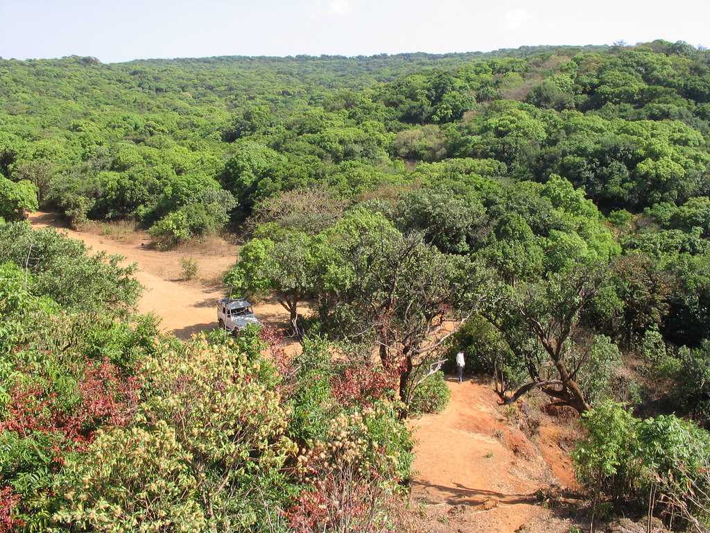 Dajipur (310.3 Km from Pune)