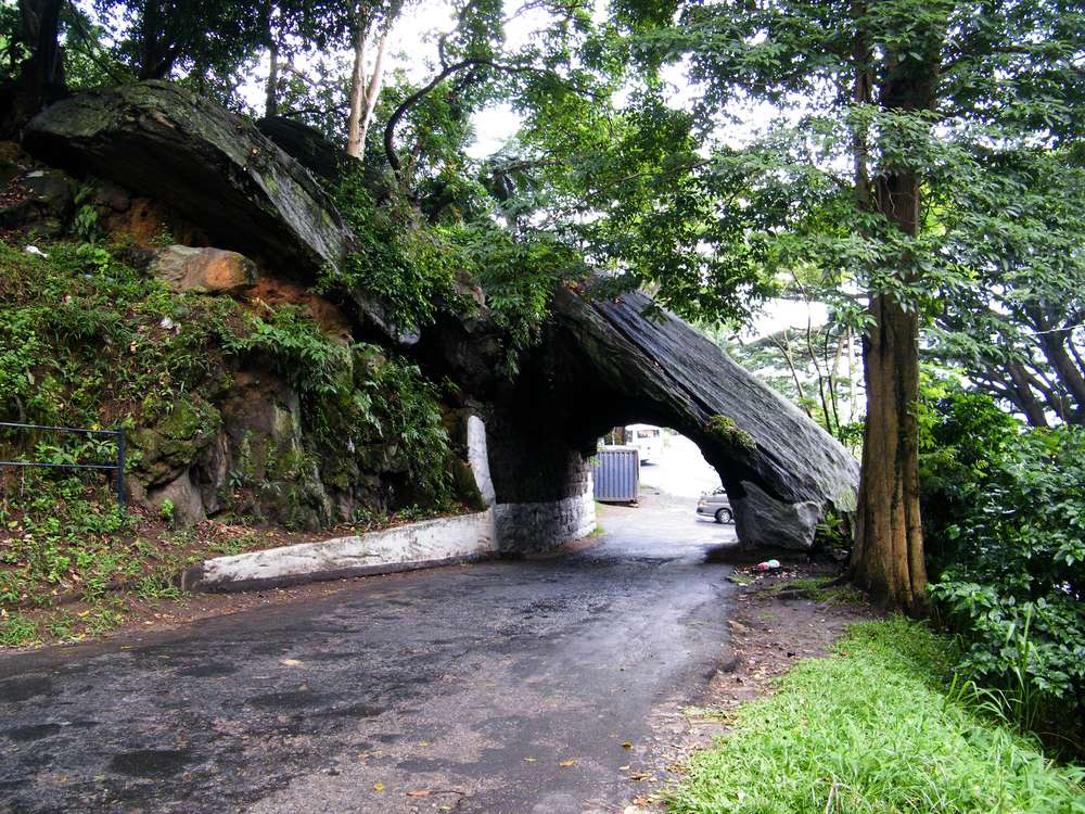 1574511107 shutterstock 717086818