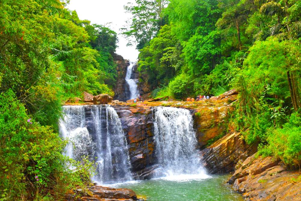 1574511199 shutterstock 1366464701