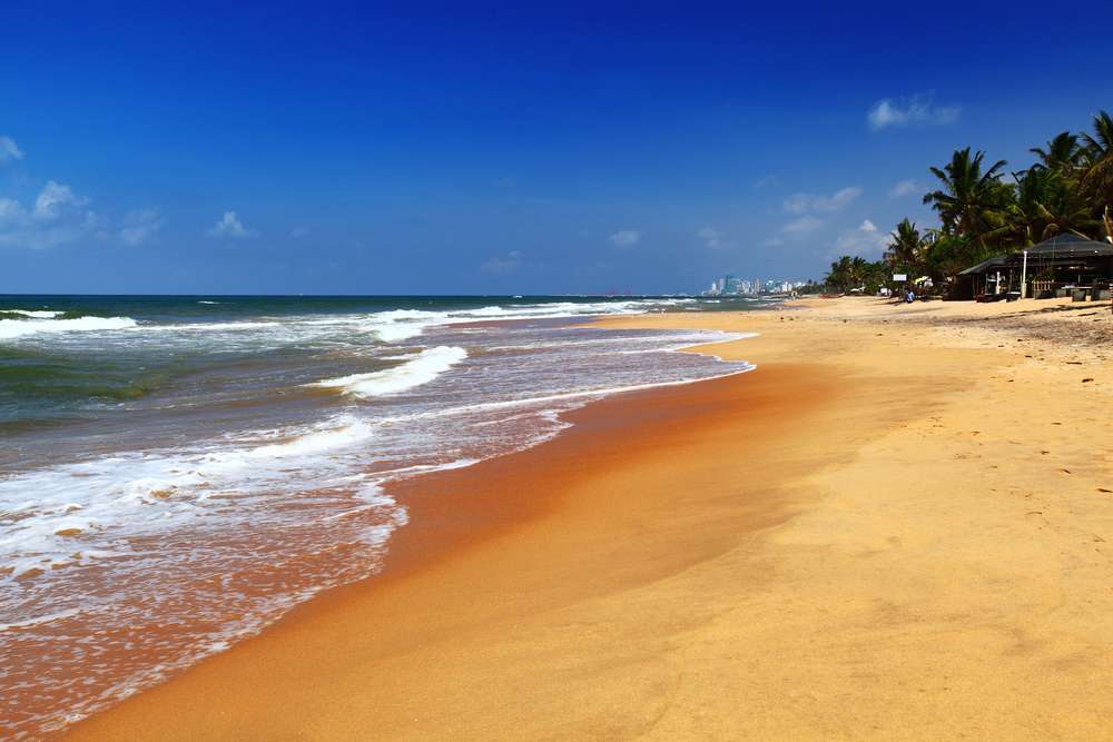 1574511484 shutterstock 162072794