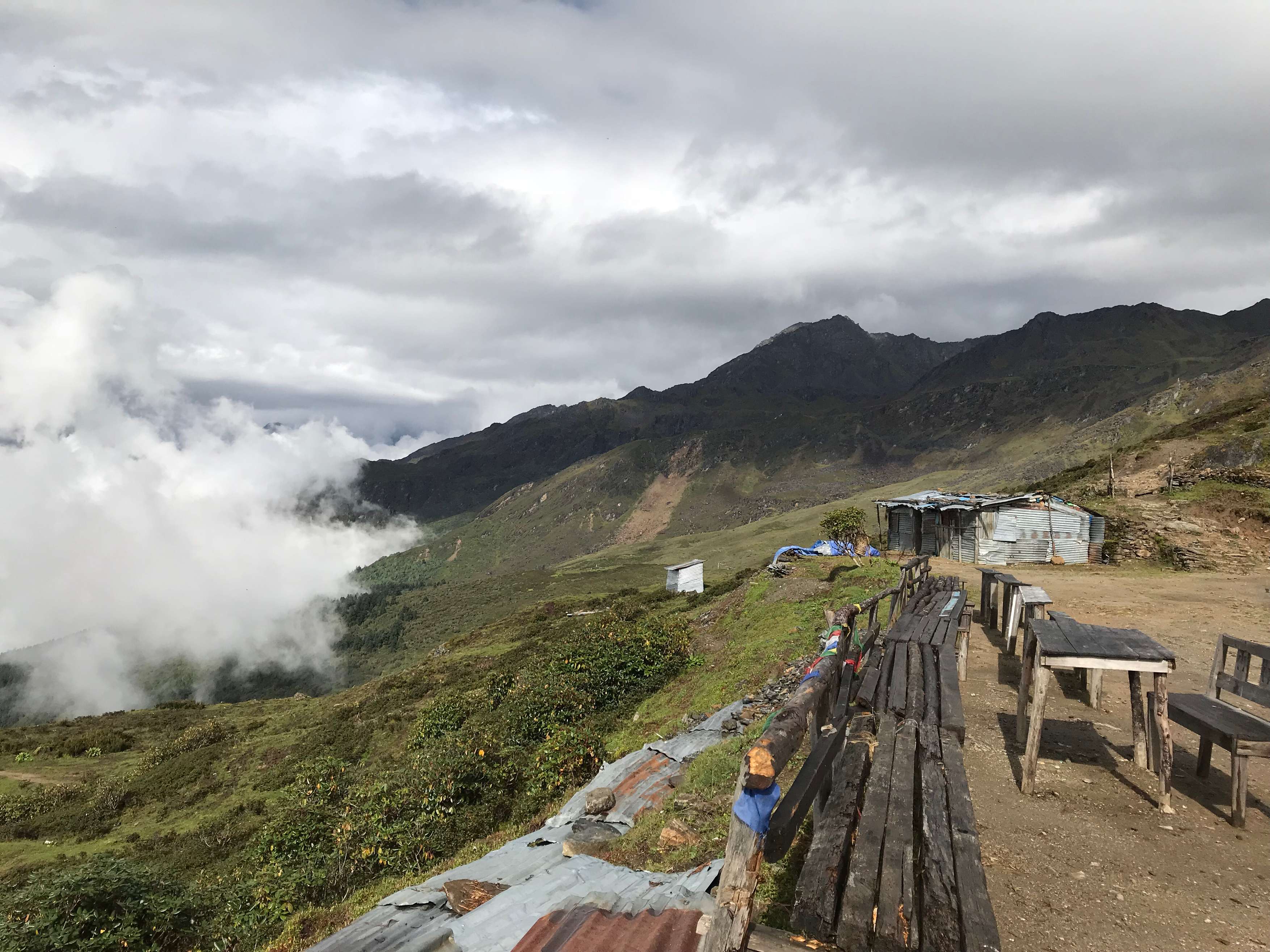 1574660299 44518532 1f34 416a 868a 488d5856bfd1 2405c17d 9af9 4cda b89b bca1ed3f5ae2