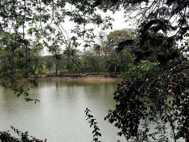 Enjoy at Chhota Kashmir