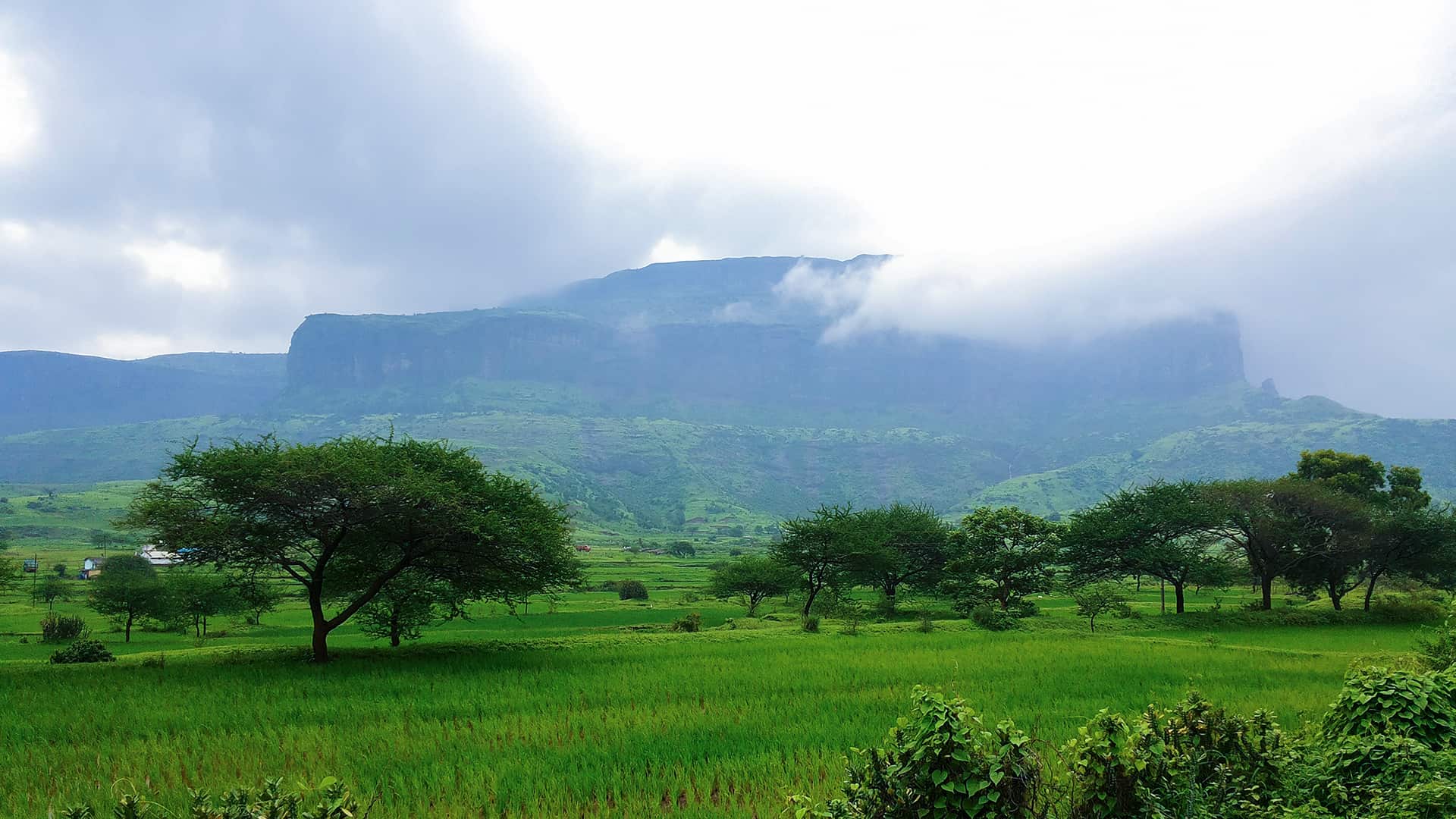 Wine tasting in Nashik (166 Km From Navi Mumbai)