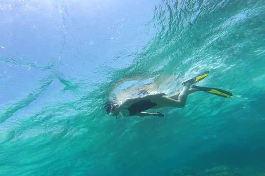 Snorkeling in Clear Waters of Aqaba