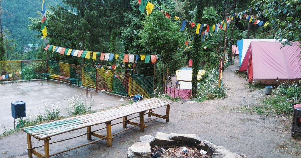 Ovenight Jungle Camping in Dalhousie Flat 19% off
