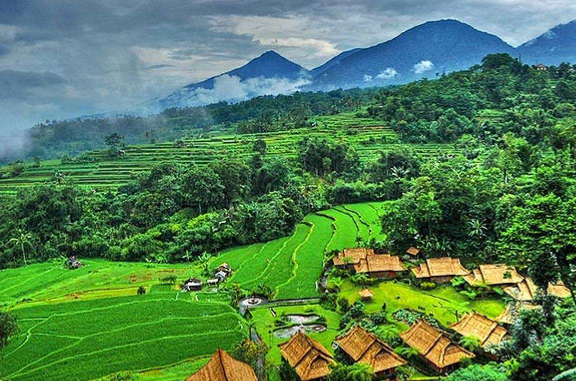 1575265064 rizi%c3%a8res