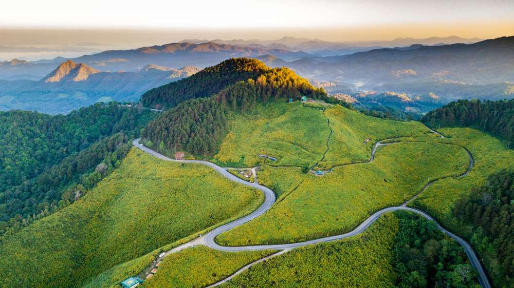 1575265610 shutterstock 1228913377