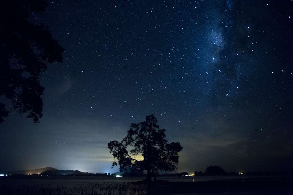 1575351160 shutterstock 1489456781