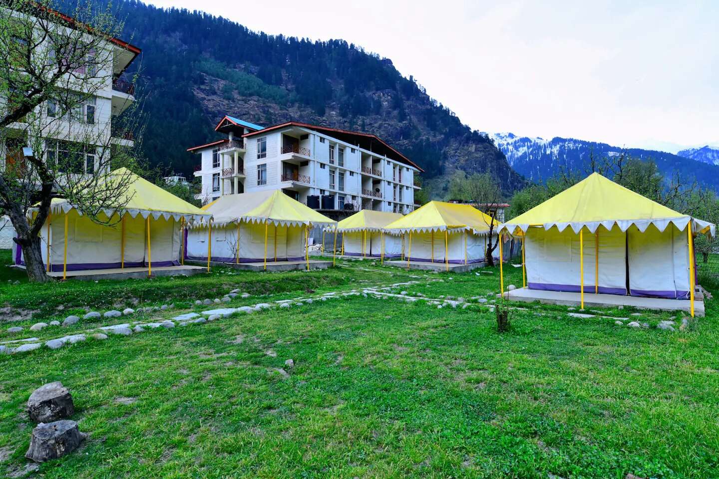 Retro Camping Experience in Manali