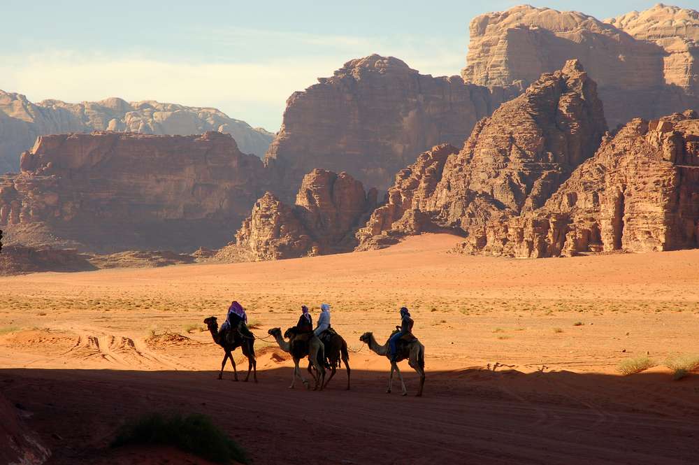 Explore Wadi Rum on Camel