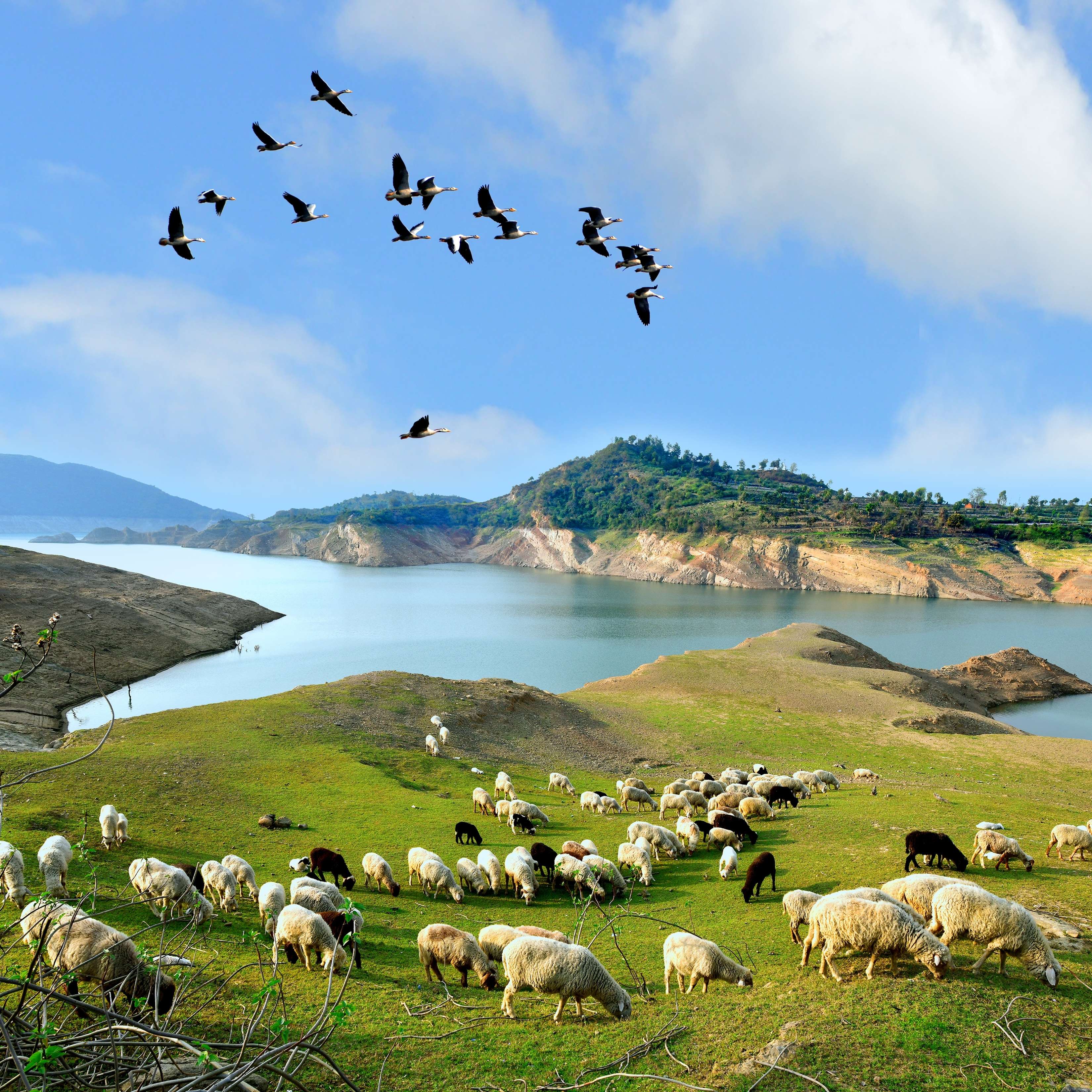 Pathankot: Also Known as Paithan