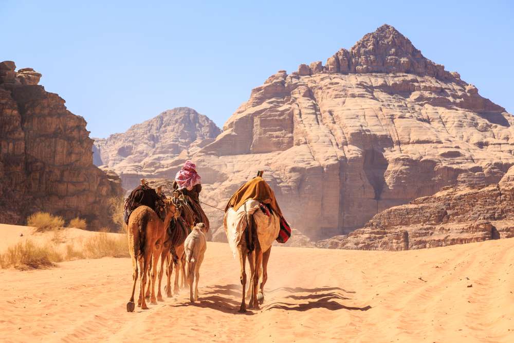 Explore Wadi Rum on Camel