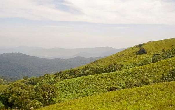 Brahmagiri Hill
