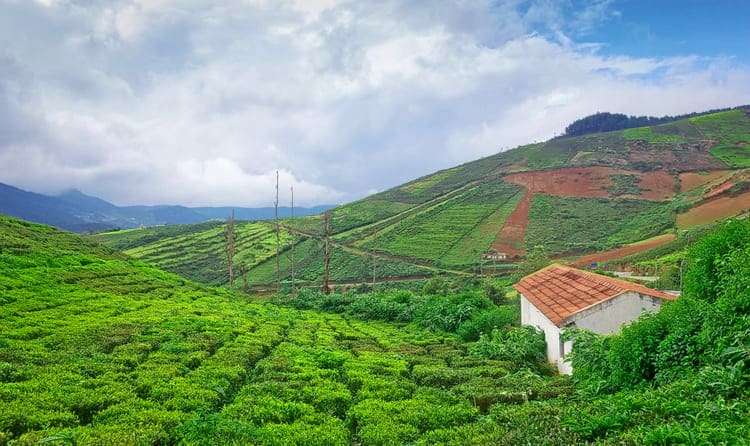Coorg (246 km from Ooty)