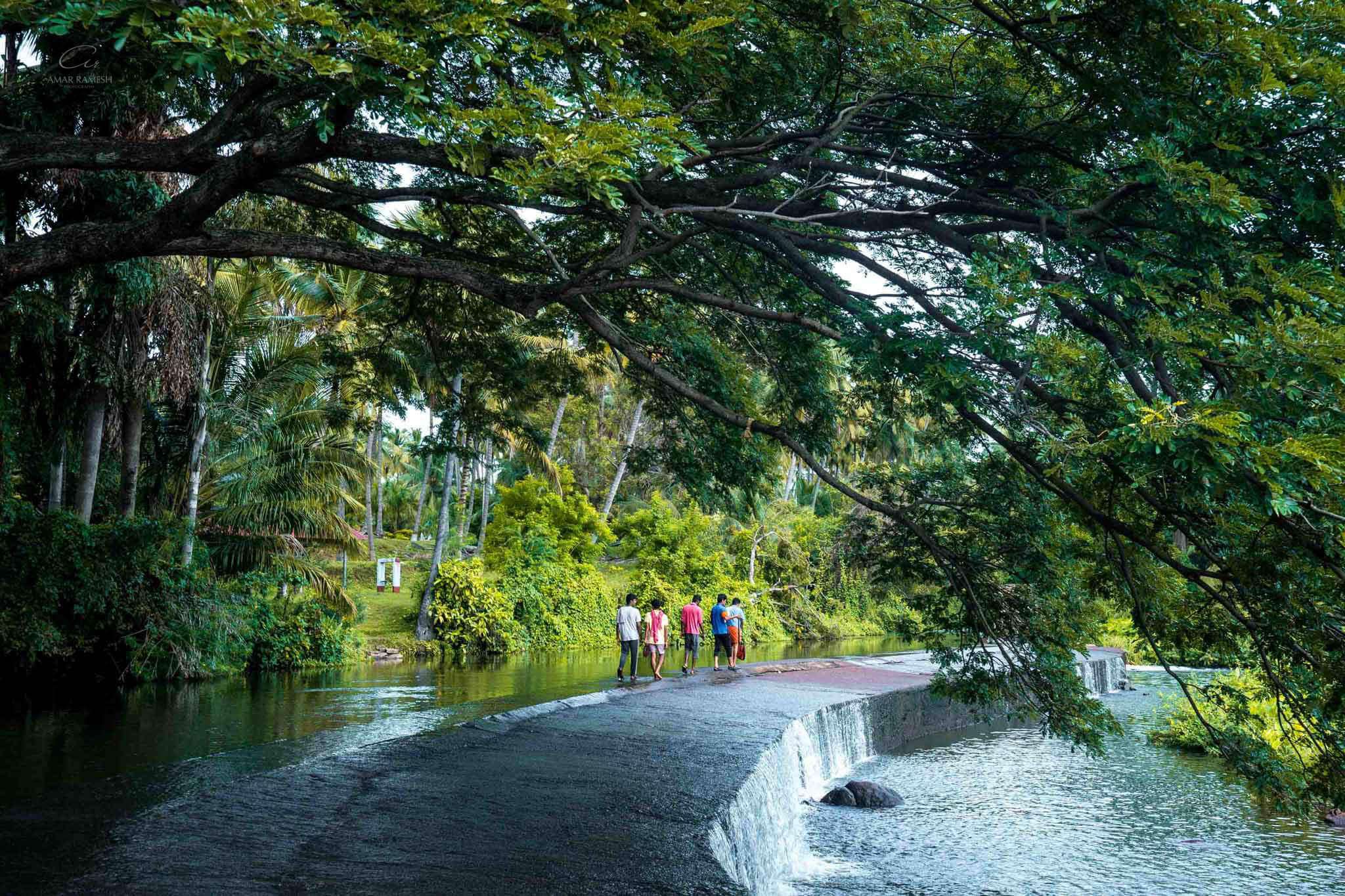 Pollachi (150 km from Ooty)