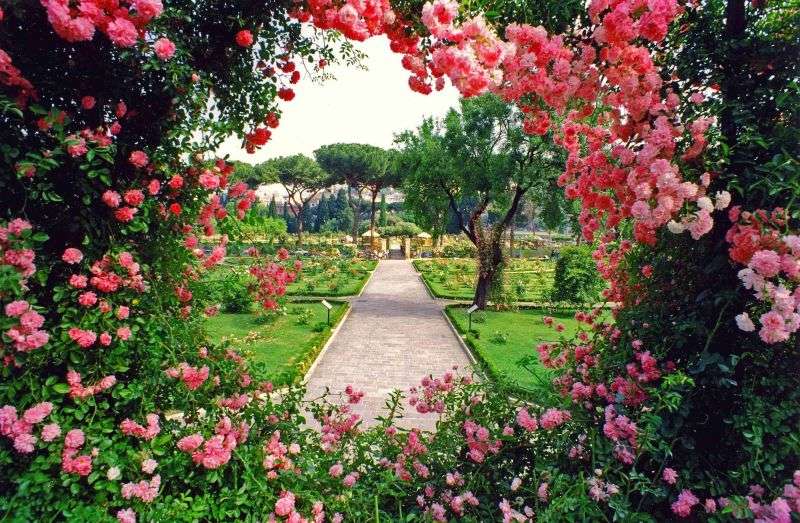 Rose Garden