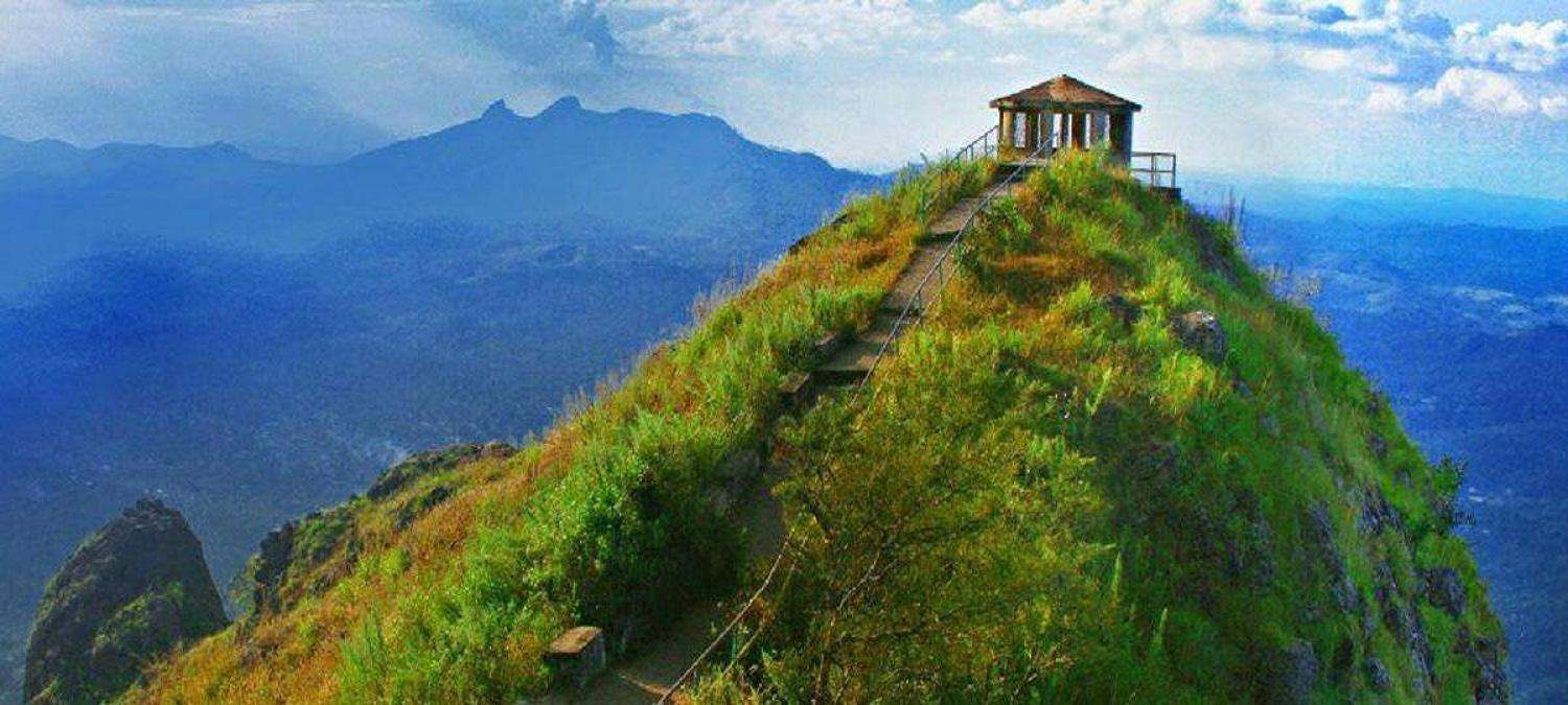 Needle View Hillpoint