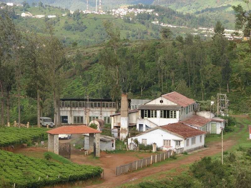 The Tea Factory and The Tea Museum