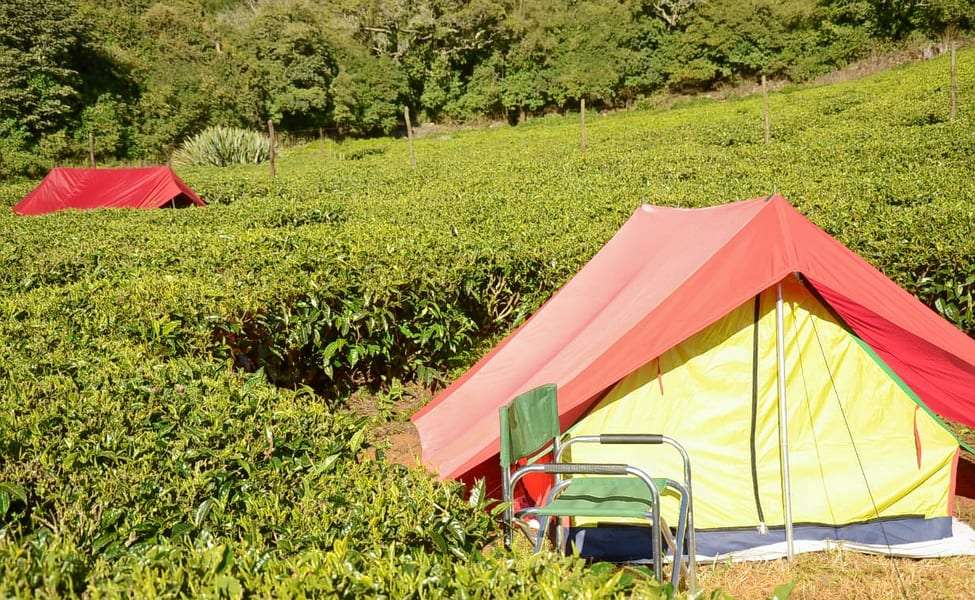 Camping By Tea Gardens Ooty