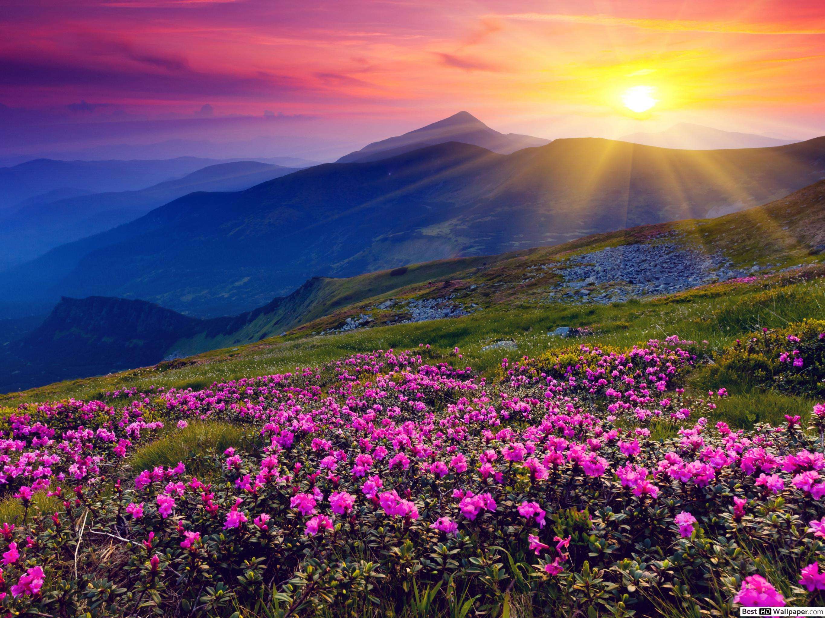 20 Places to Visit in Ooty in 3 Days: {{year}} (Updated List)