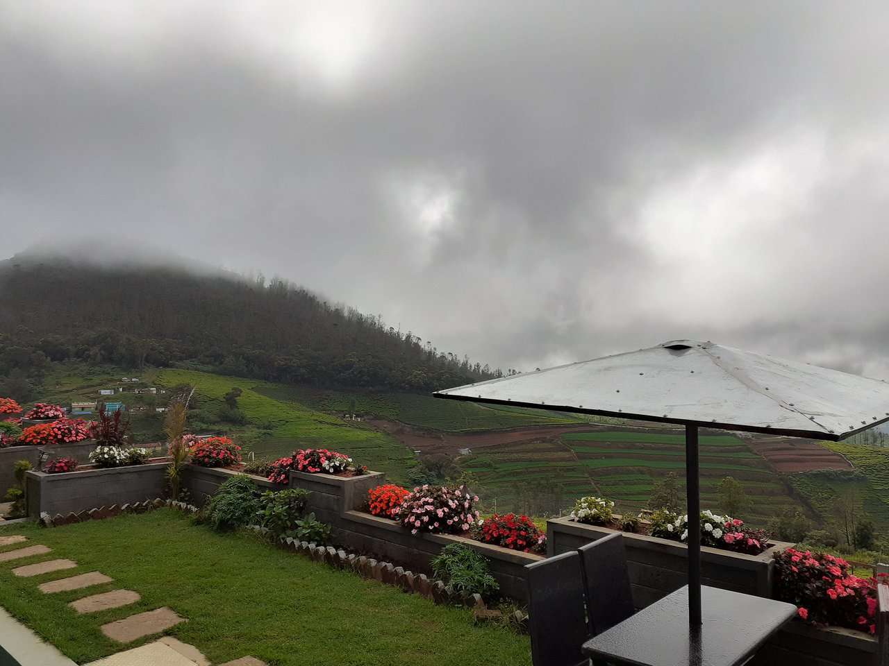 Cottage Mountain Trails