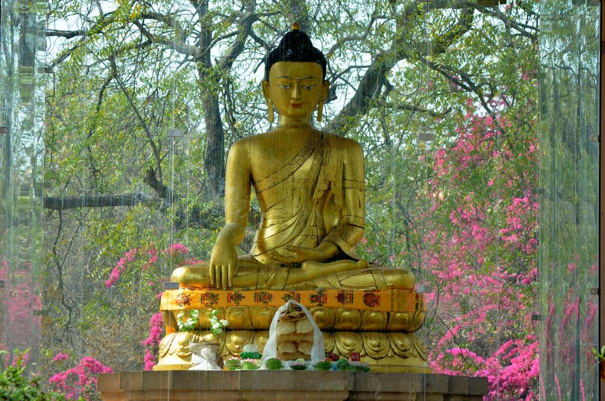 Buddha Park